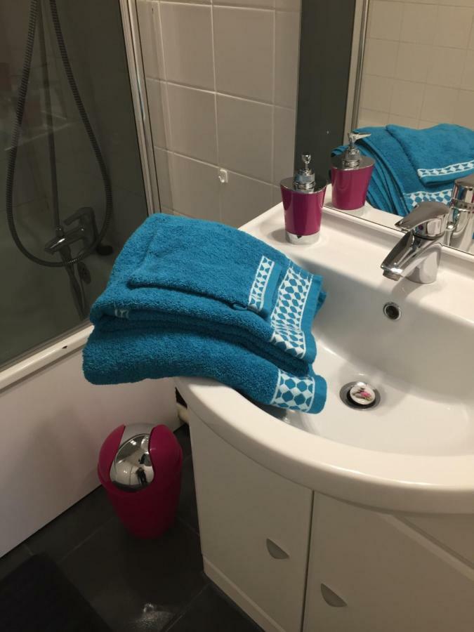 Châteauroux Appartement Le Grand Parc מראה חיצוני תמונה